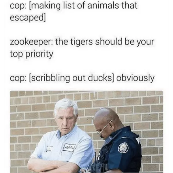 almost+ducked+up+there%2C+good+eye+tiger