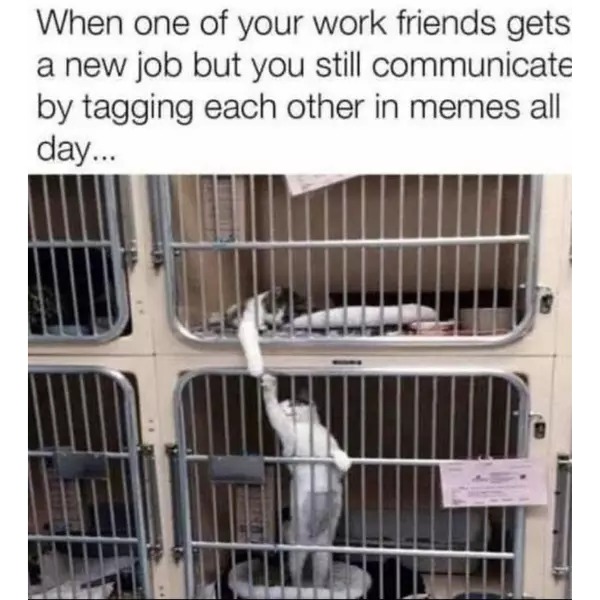 work+besties+stayin+besties