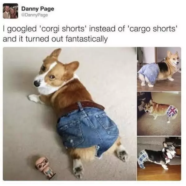 the+perfect+google+search+does+exist%21