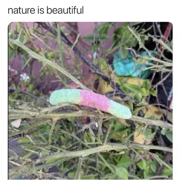 no+need+to+be+so+sour+about+it