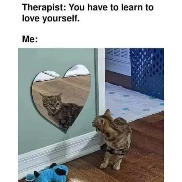 cat+got+your+heart%3F