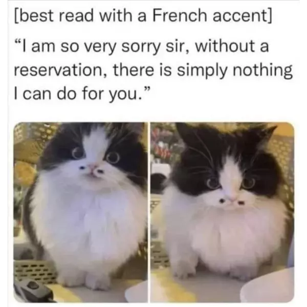 zis+is+uncatceptable%21