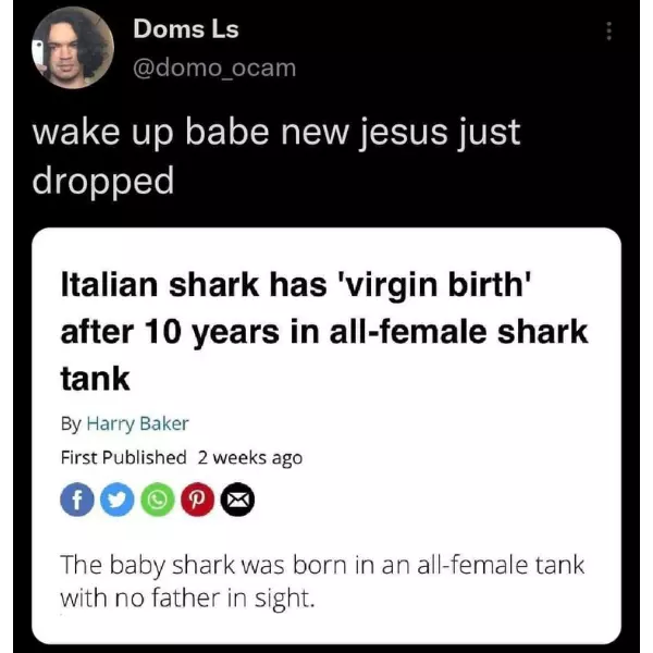 shark+jesus+has+arrived