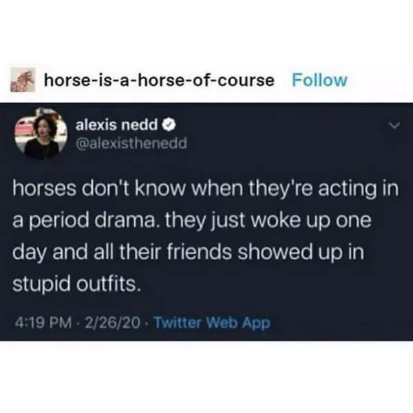 quit+horsin+around
