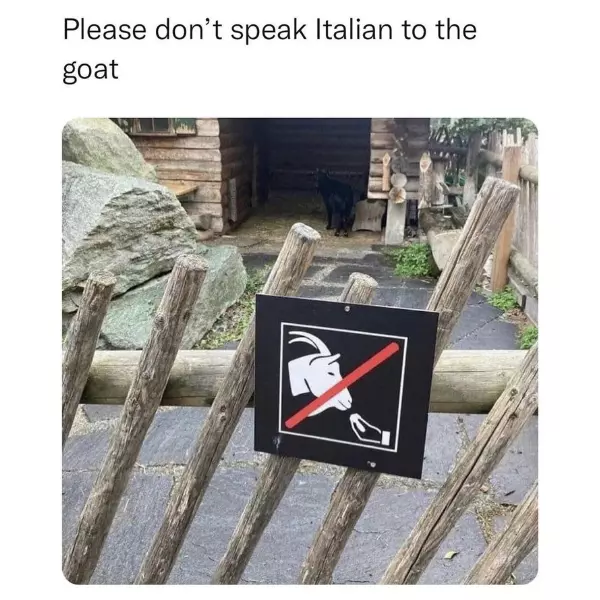 youve+goat+to+be+kiddin+me