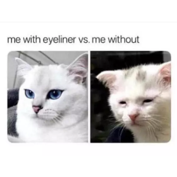 the+cat%26%238217%3Bs+me-oh+my+god+wtf+is+that