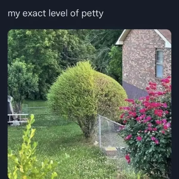 that%26%238217%3Bs+certainly+a+high+level