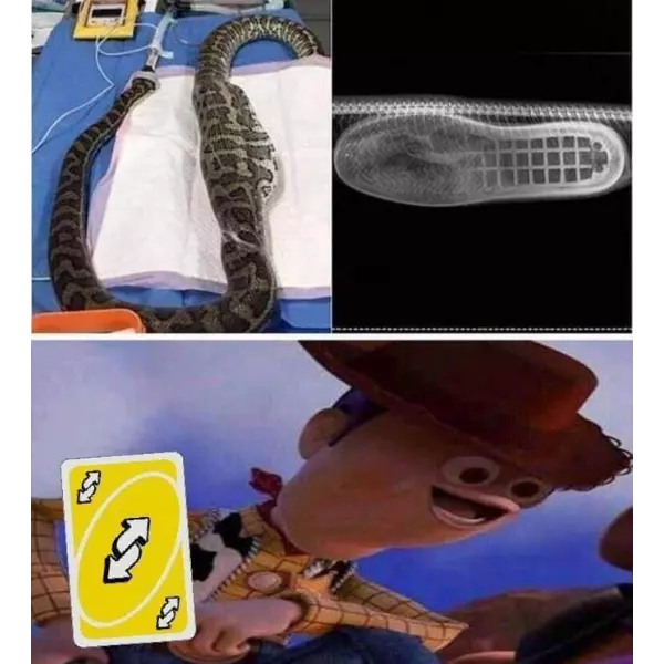 there%26%238217%3Bs+a+boot+in+my+snake%21