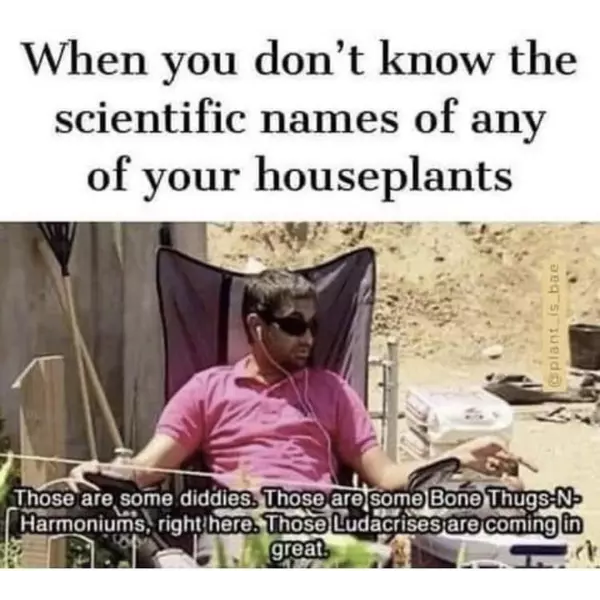 %26%238220%3Boh%2C+and+that+one%26%238217%3Bs+george%26%238221%3B