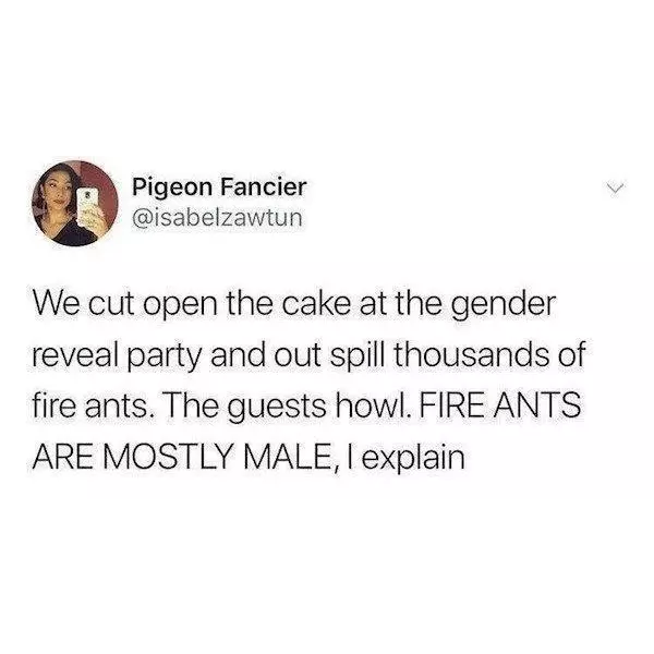 a+fire+idea+for+your+aunts