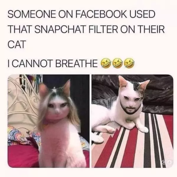 snapcat