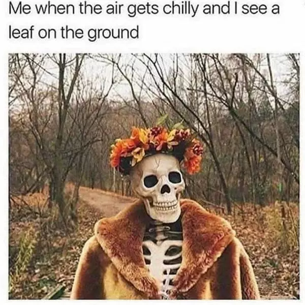 spooky+cozy+season