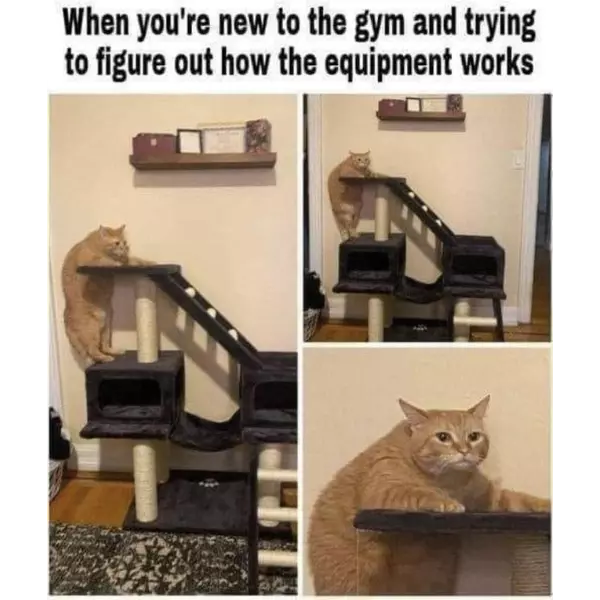 instructions+unclear