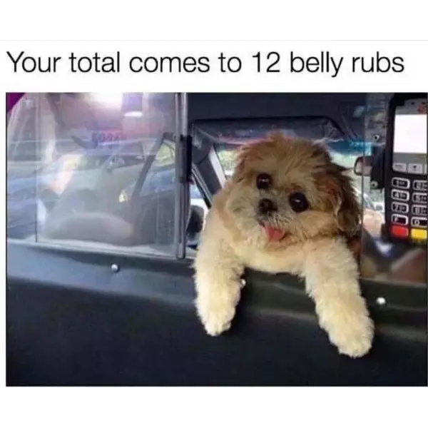 with+a+tip+that%26%238217%3Bs+807