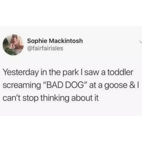 the+toddler+is+right%2C+too