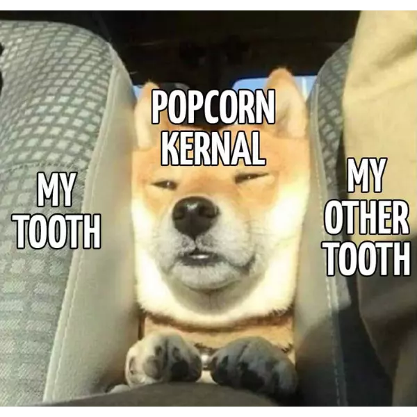 every+time+popcorn+is+eaten