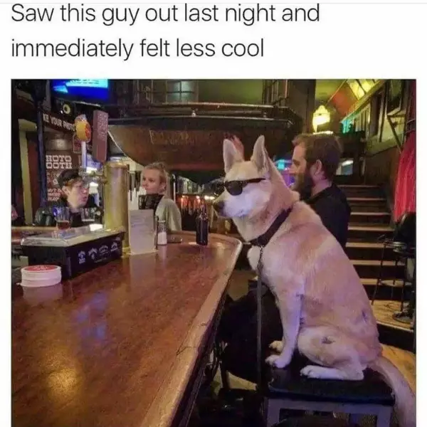 the+coolest+boi+in+the+room