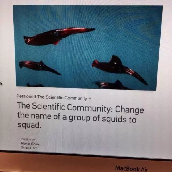 petition+for+the+squiddin%26%238217%3B