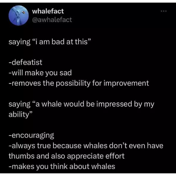 whale+meant+intentions