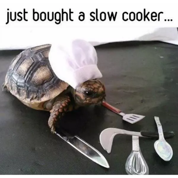 hey+he%26%238217%3Bs+going+as+fast+as+he+can+%3E%3A%28