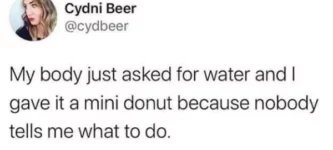 donut+ask+again