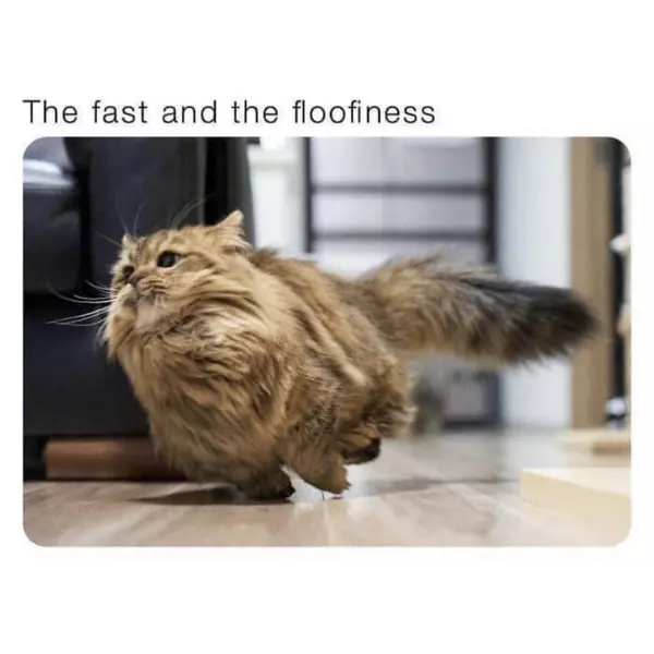 starring+Pawl+Clawker