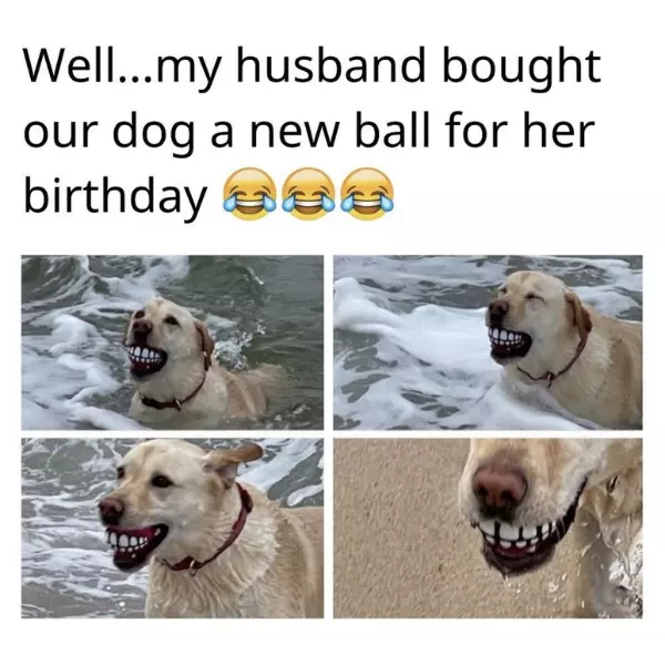 both+adorable+and+nightmare+fuel+at+the+same+time