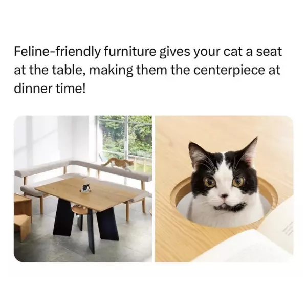 cat+centered+furniture+for+a+cat+dominated+life