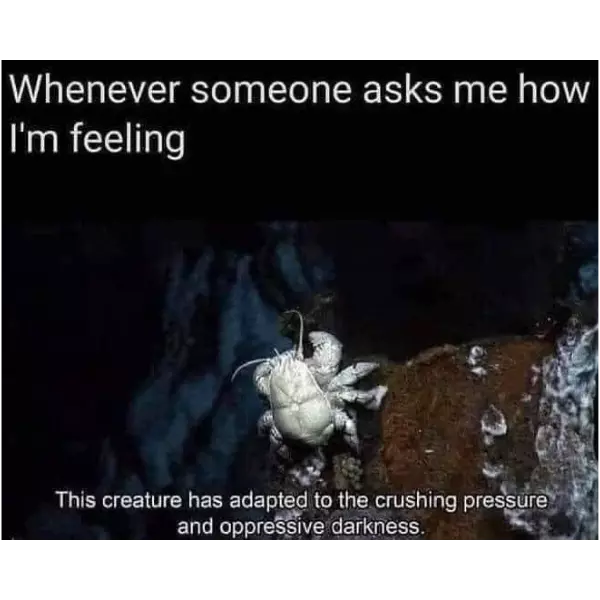 evolution+has+succeeded+in+me