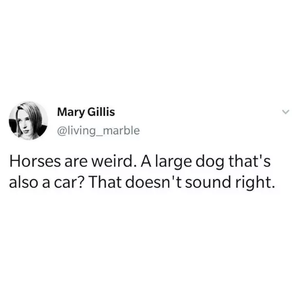 horses+are+weird