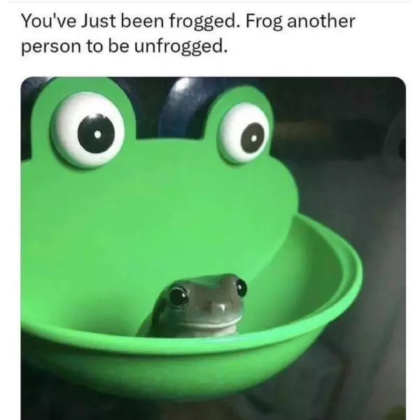 you+have+been+frogged.