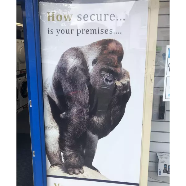 well+this+is+foreboding