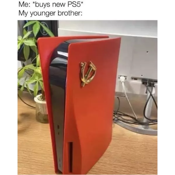 the+PS+stands+for+%26%238220%3Bplay+%28with%29+siblings%26%238221%3B