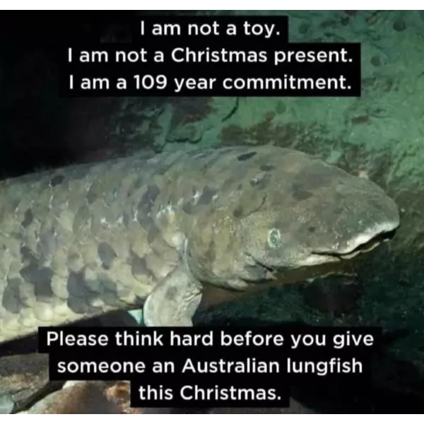 the+gift+that+keeps+on+living