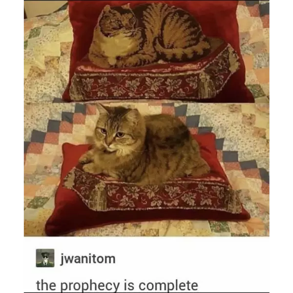 the+paw-phecy+is+complete