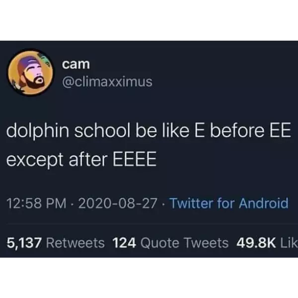 dolphin+grammar