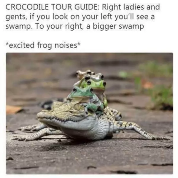 froggy+friends