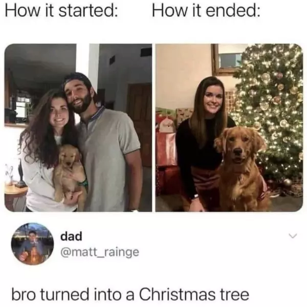 peace+%28out%29+tree-ty