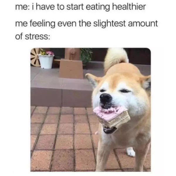 the+weight+of+stress