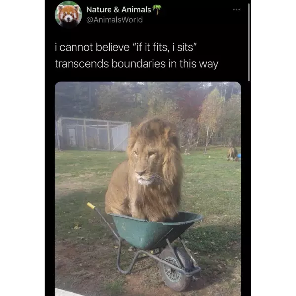 they+weren%26%238217%3Bt+lion%21