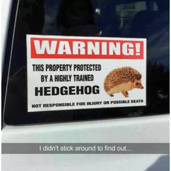 warning+for+the+wise