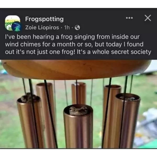 froggy+friends
