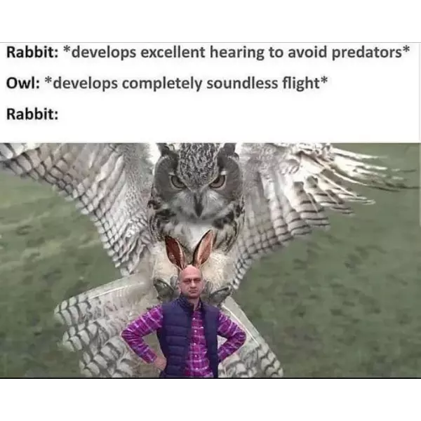 rabbitjacking