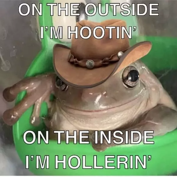 hootin%26%238217%3B+tootin%26%238217%3B