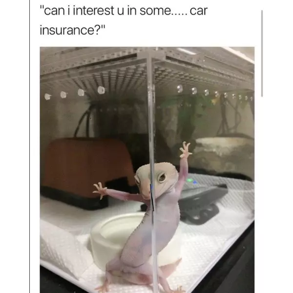 anything+for+a+quota