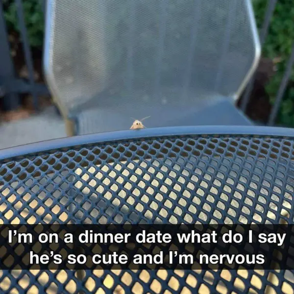 cute+dinner+date