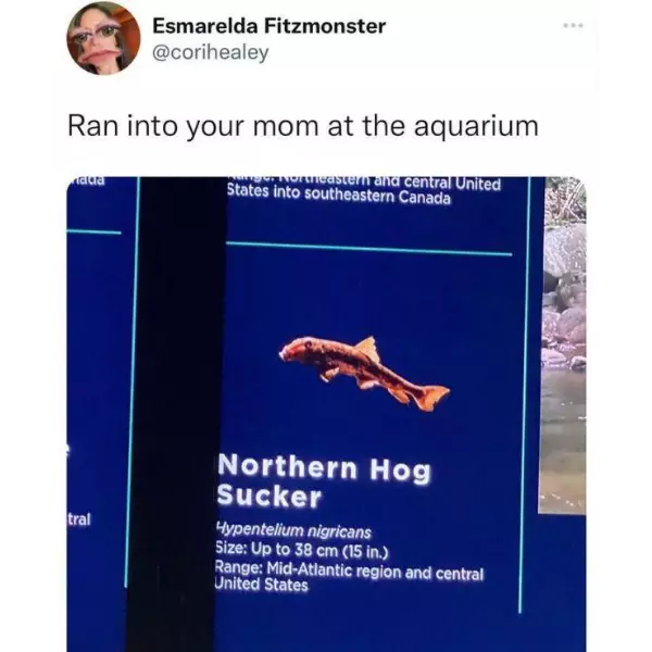 dang+you+got+me+good