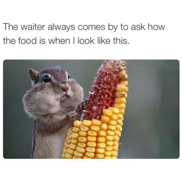 that%26%238217%3Bs+why+they%26%238217%3Bre+called+%26%238220%3Bwait%26%238221%3Bers