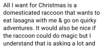 all+i+want+for+christmas+is+raccoon-love-please
