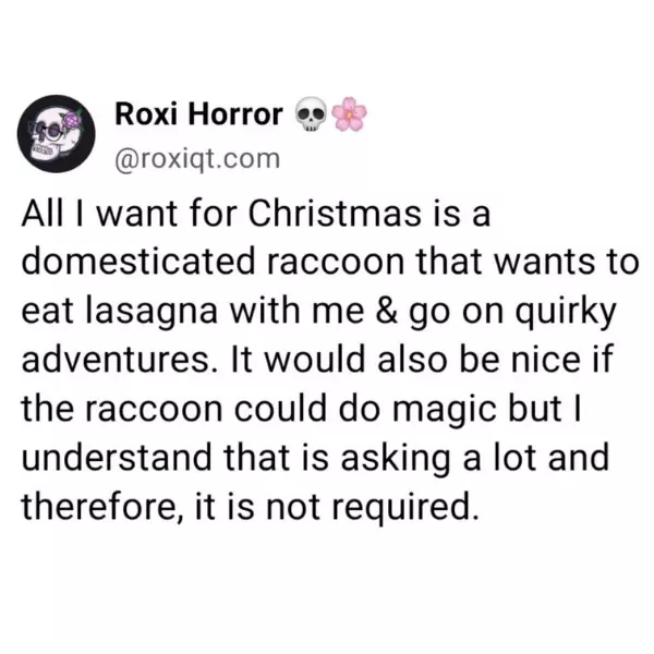 all+i+want+for+christmas+is+raccoon-love-please